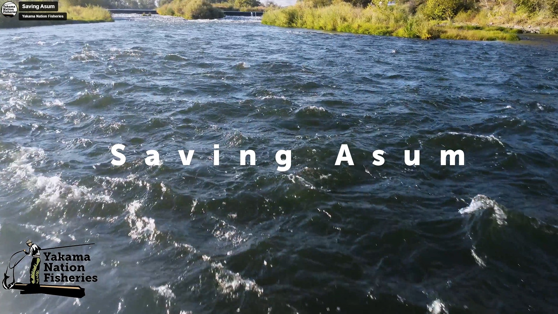 Saving Asúm Thumbnail