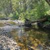 Dry Creek RM 1.8-3.8