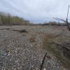 typical view of barren active channel conditions