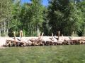 Large wood structure at 3D